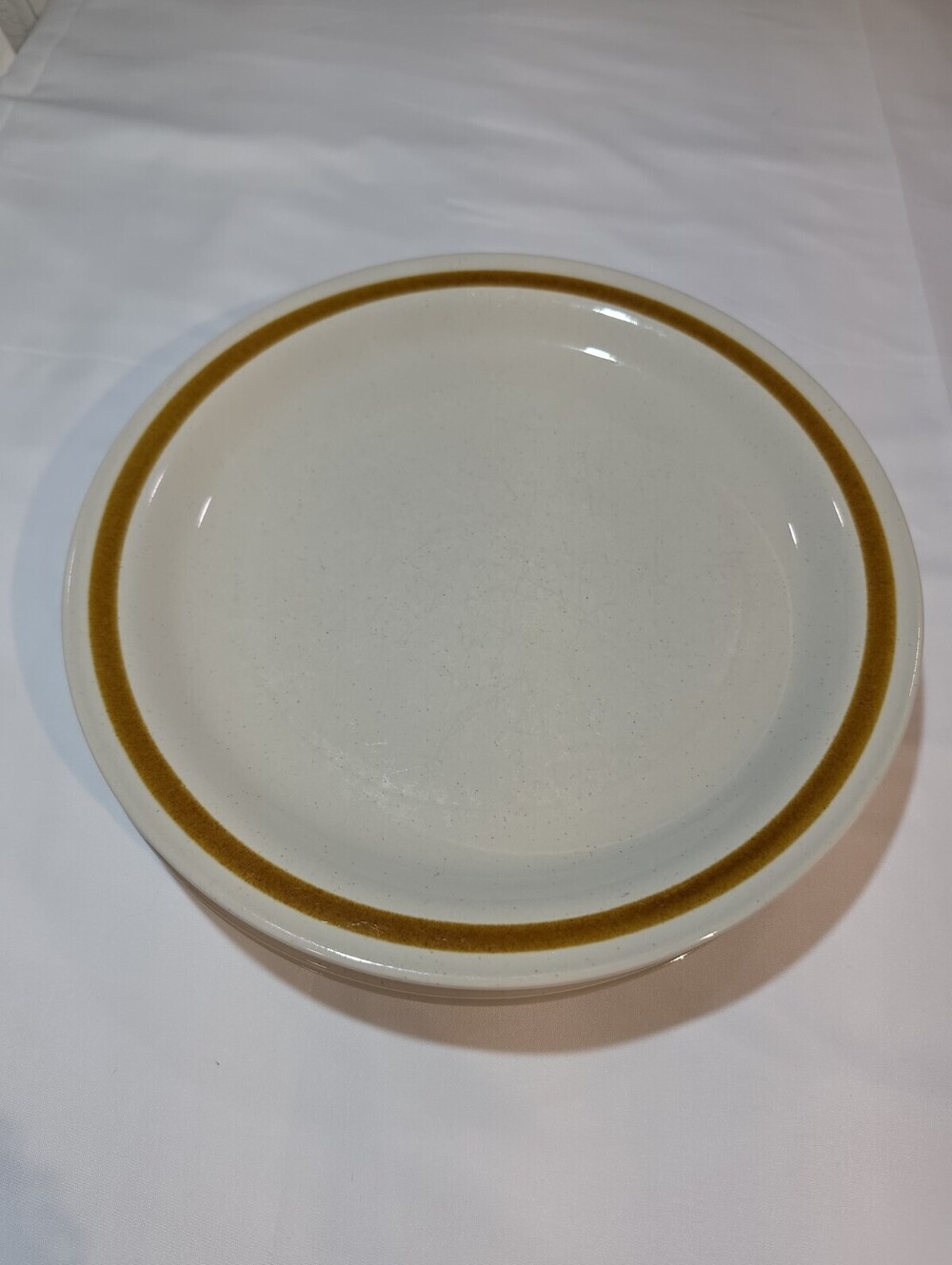 4 - Mountain Wood Collection Stoneware - Vanilla Spice - Dinner Plates - MCM